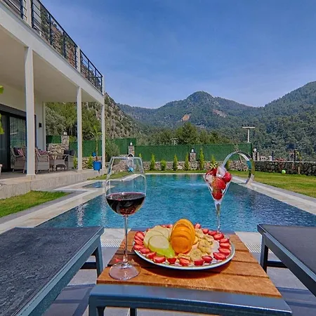 With Private Pool And Sea View In Goecek, Φετιγιέ