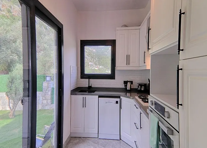 Βίλα With Private Pool And Sea View In Goecek, *