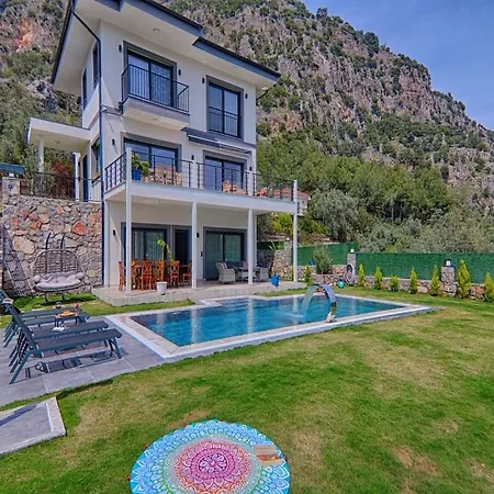 Vilă With Private Pool And Sea View In Goecek, *