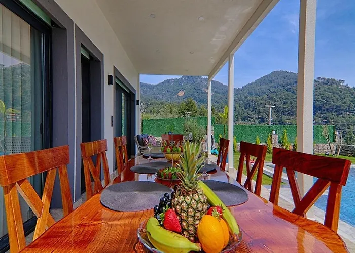 With Private Pool And Sea View In Goecek, Villa *